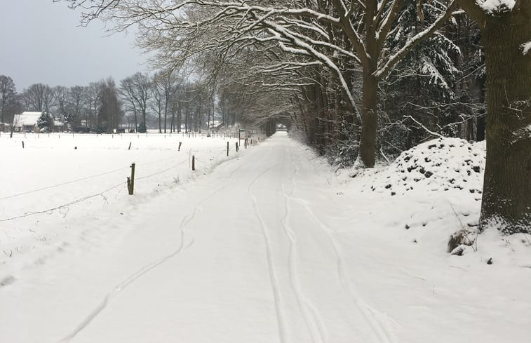 Natuurhuisje in Emst