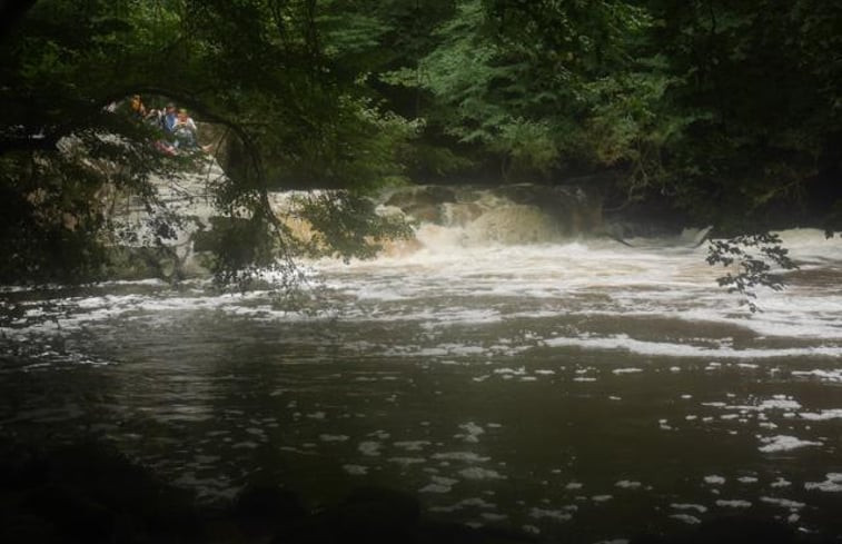 Natuurhuisje in Lathus-Saint Rémy