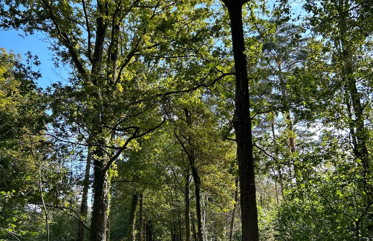 Natuurhuisje in Westmeerbeek