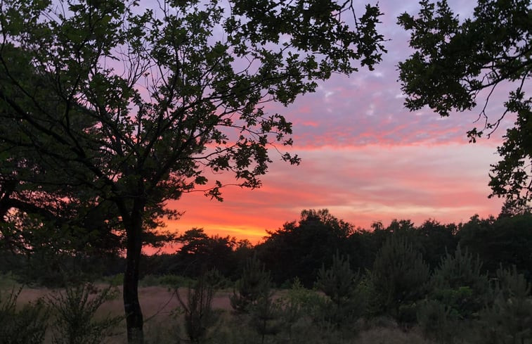 Natuurhuisje in Putten