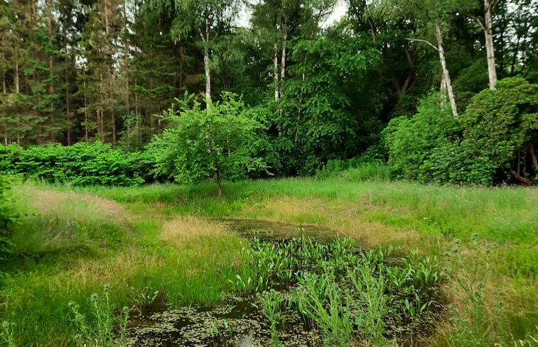 Natuurhuisje in Okkenbroek