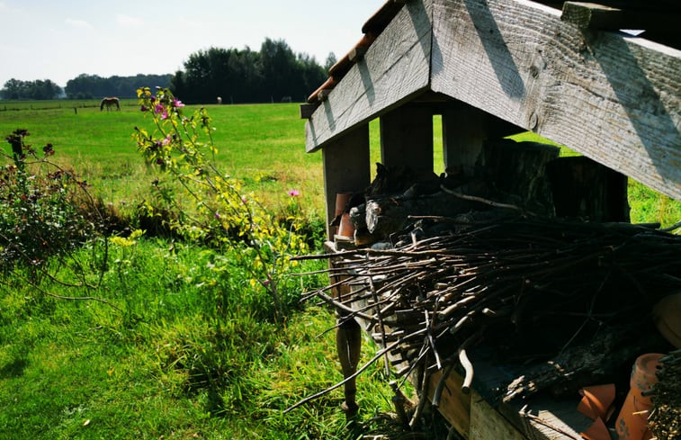 Natuurhuisje in Harfsen