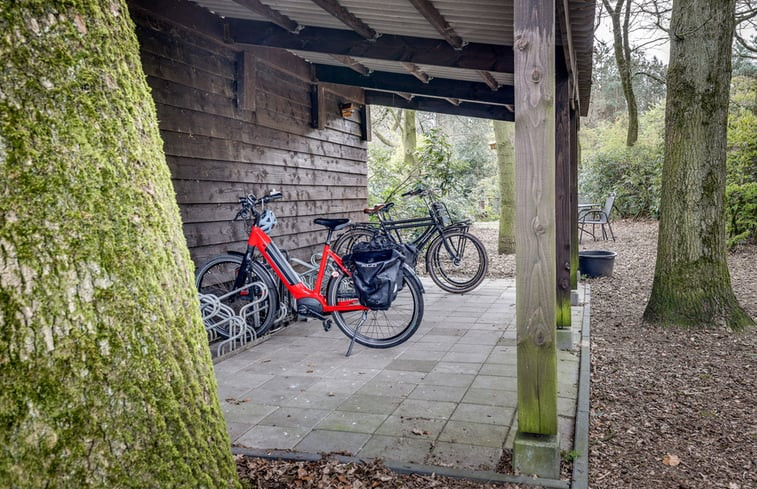 Natuurhuisje in Wekerom