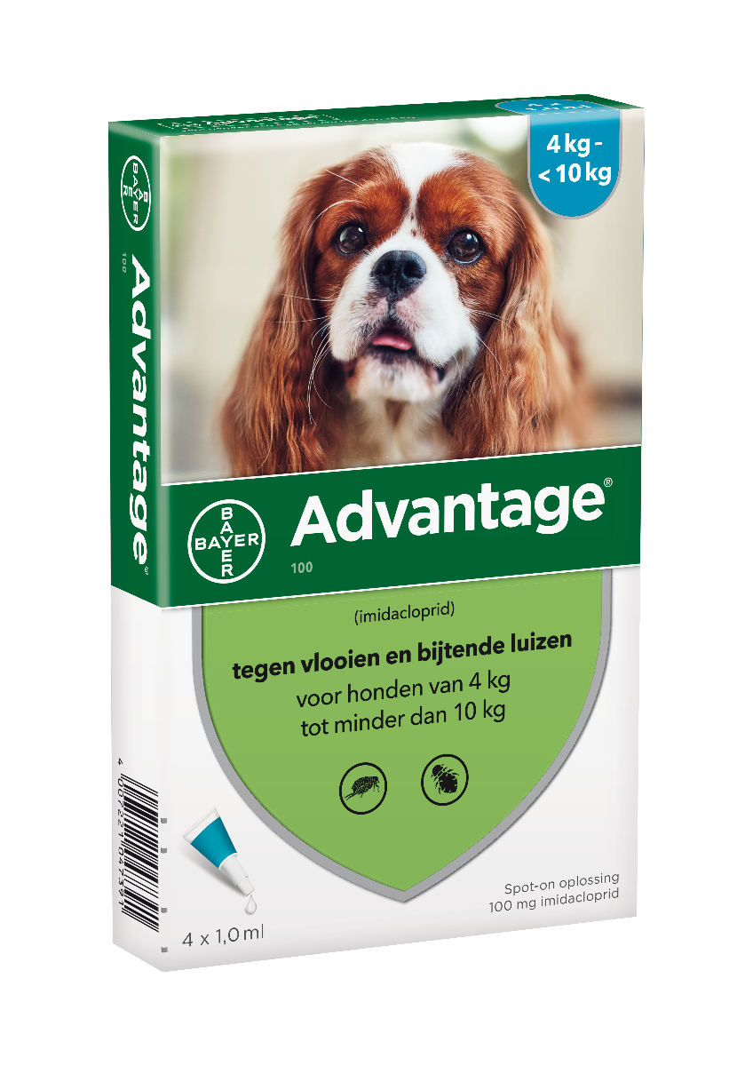 Advantage Hond 100, 4 - 10 kilo 4 pipetten