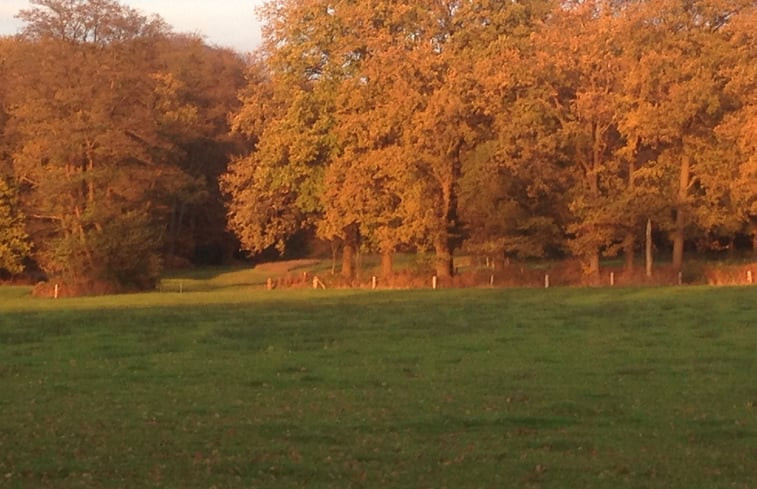 Natuurhuisje in Vasse