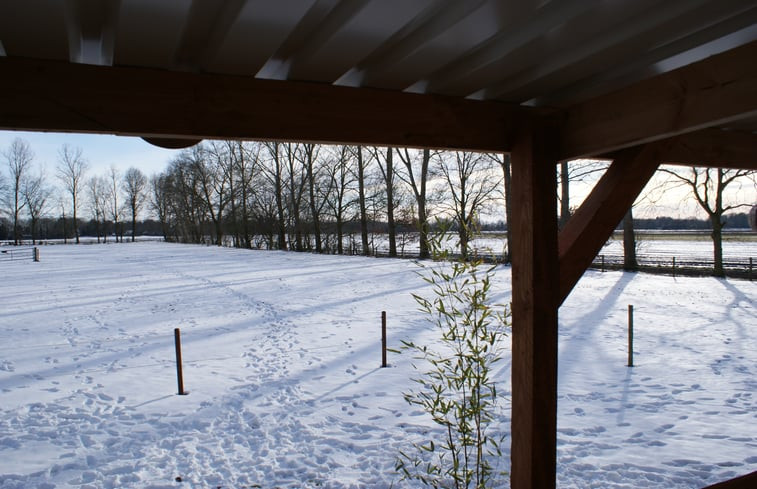 Natuurhuisje in Vriescheloo