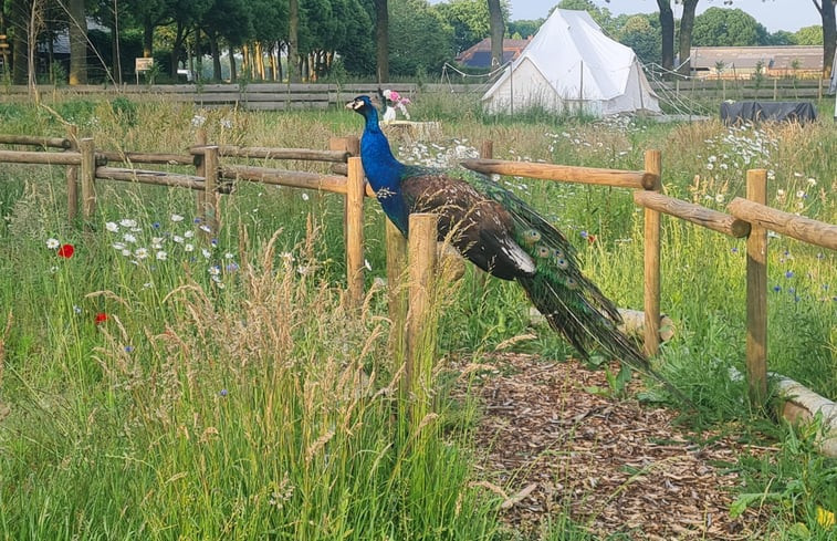 Natuurhuisje in Erp