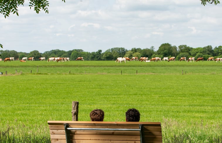 Natuurhuisje in Beuningen