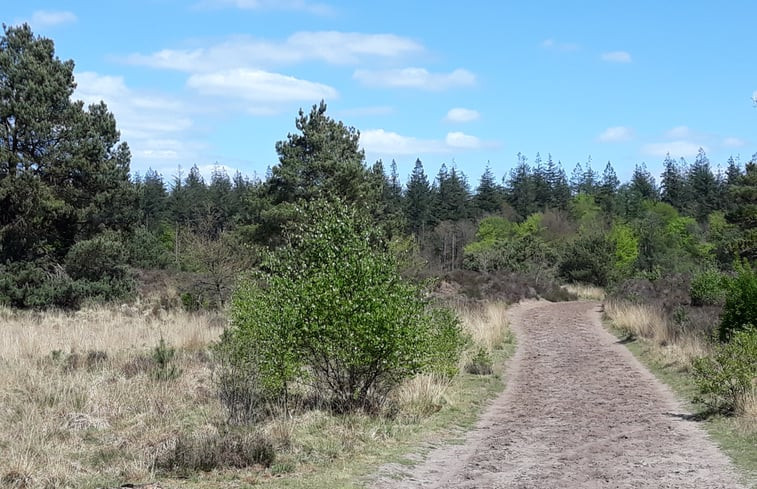 Natuurhuisje in Voorthuizen