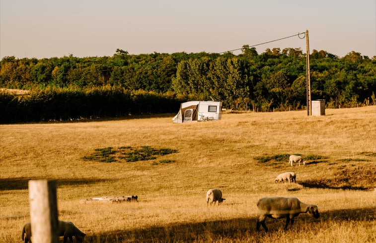 Natuurhuisje in tielt winge