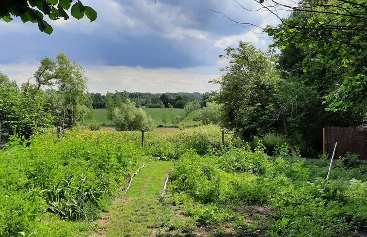 Natuurhuisje in Sint-Antelinks