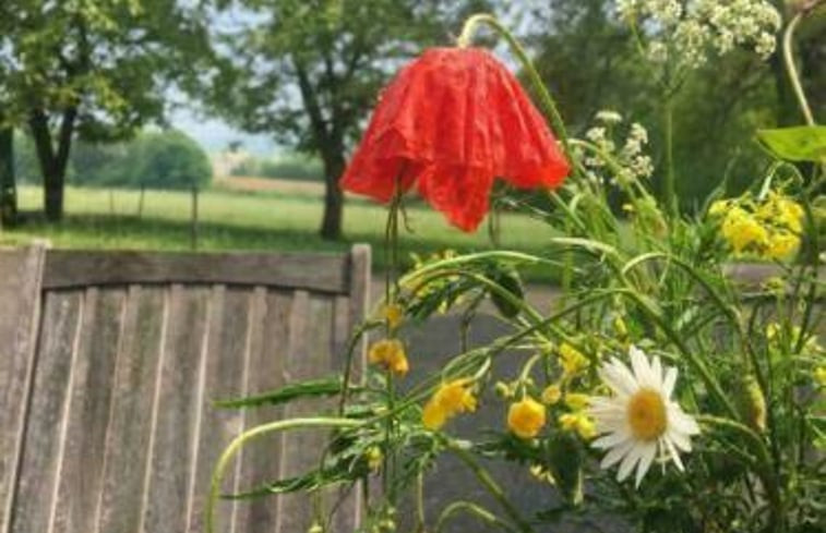 Natuurhuisje in Gulpen - Wittem