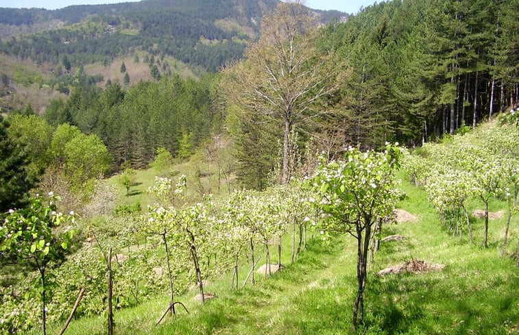 Natuurhuisje in Serravalledi Bibbiena