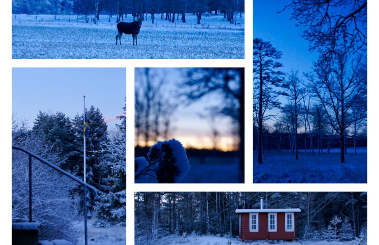 Natuurhuisje in Säffle