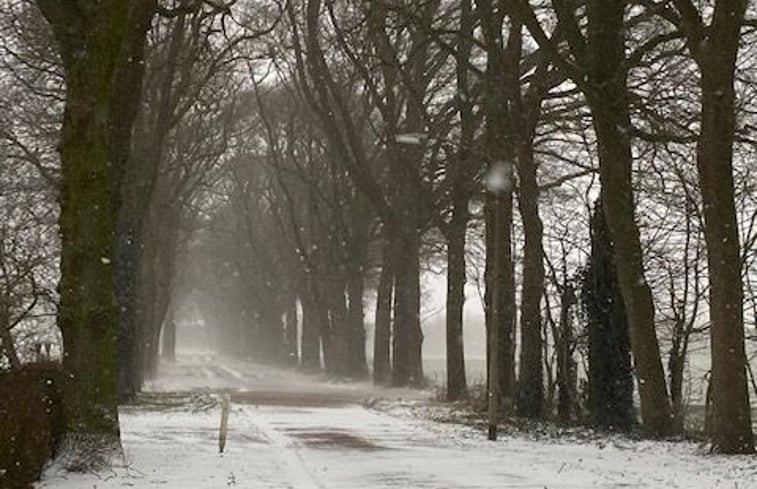 Natuurhuisje in Tynaarlo