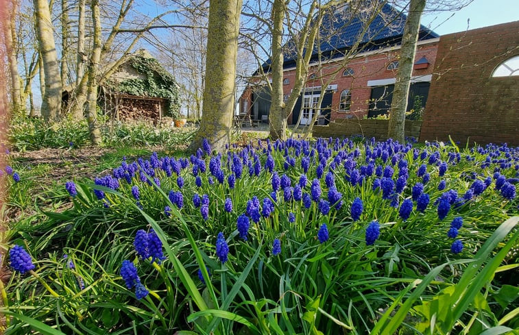 Natuurhuisje in Ulrum