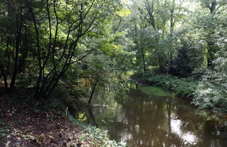 Natuurhuisje in Beuningen