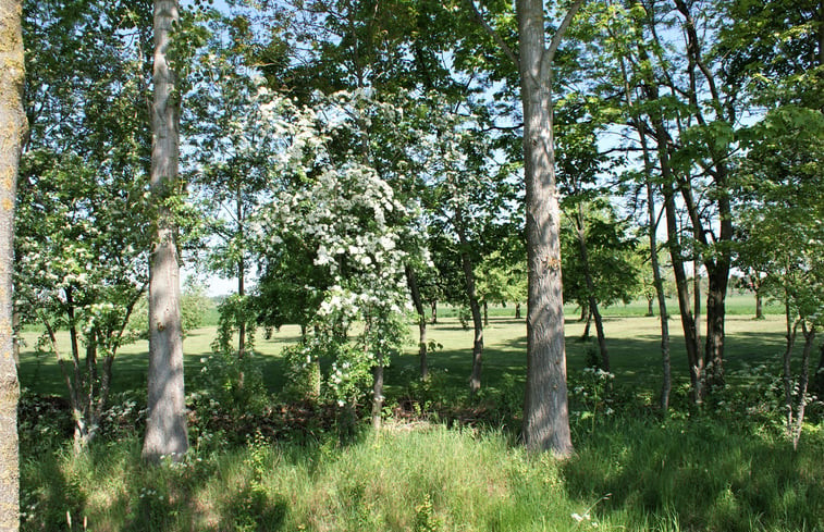 Natuurhuisje in Well