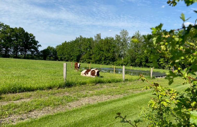 Natuurhuisje in Havelte