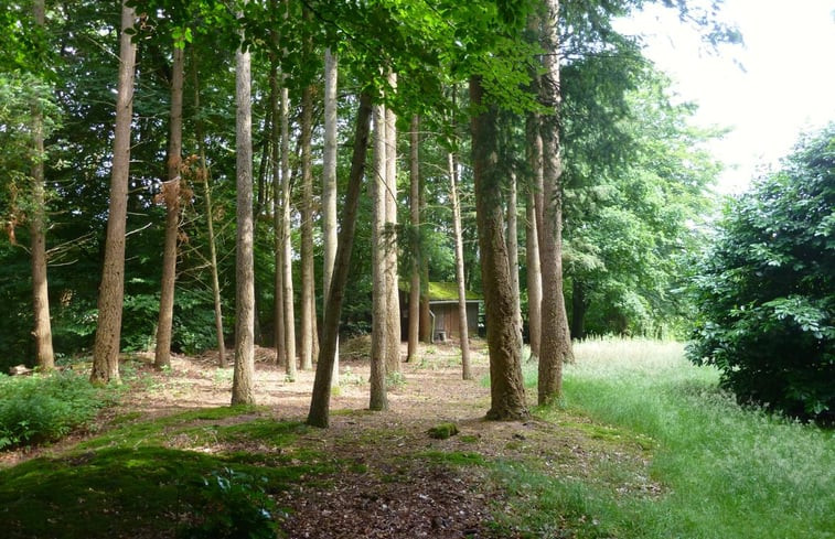 Natuurhuisje in Markelo