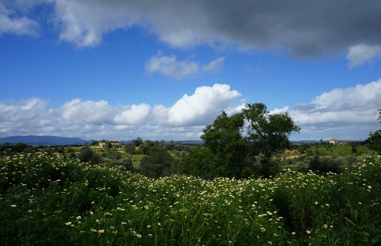 Natuurhuisje in Lagoa