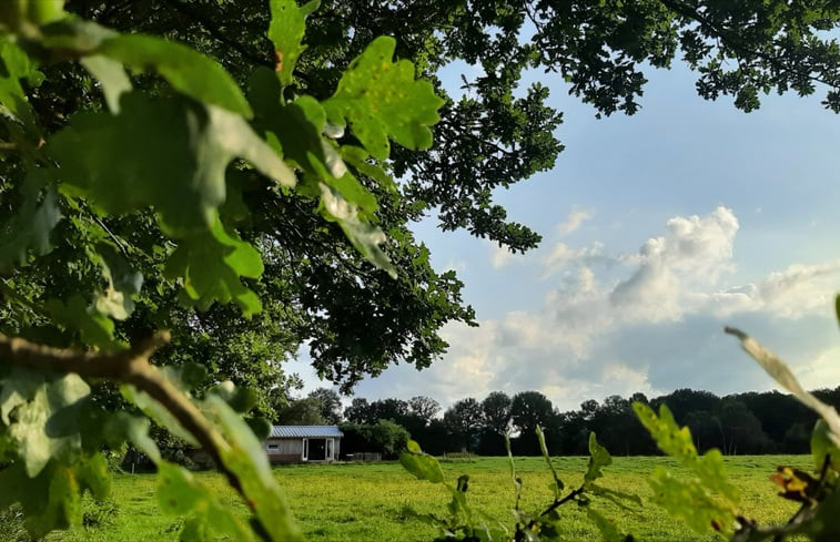 Natuurhuisje in Oosterwolde