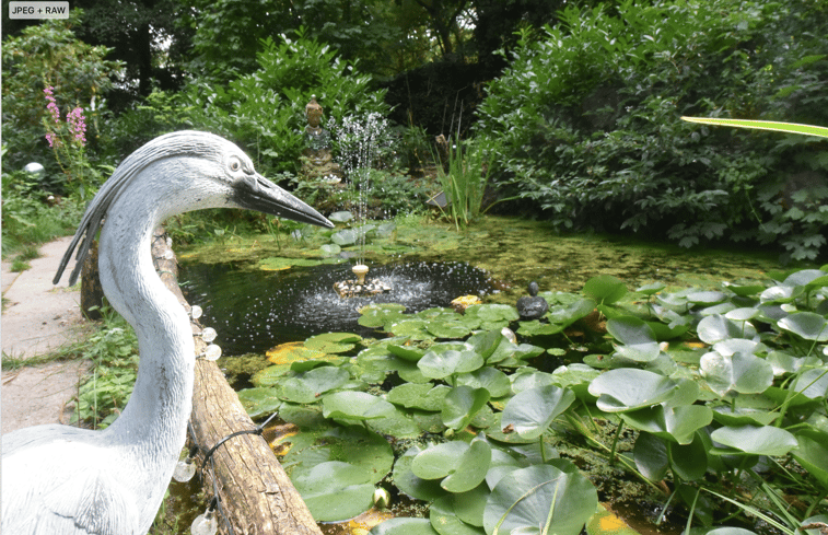 Natuurhuisje in Kelmis