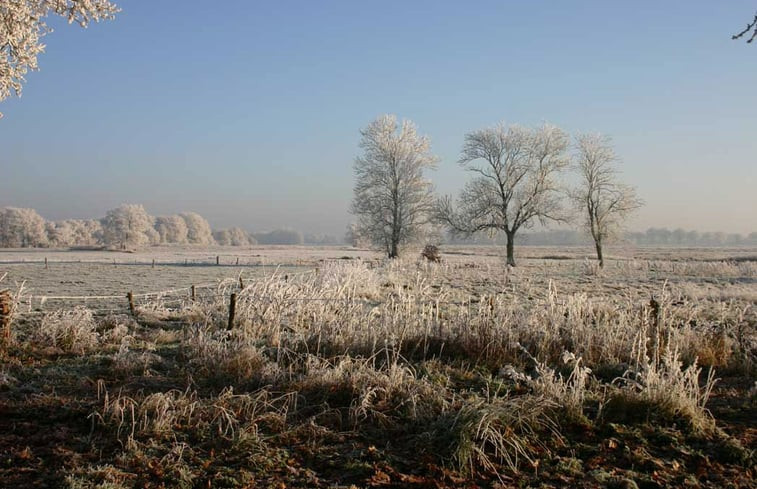 Natuurhuisje in Balkbrug