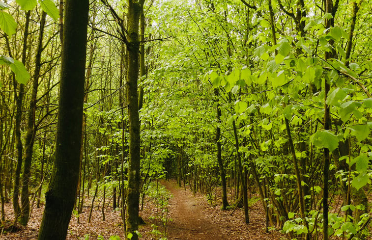 Natuurhuisje in Elim