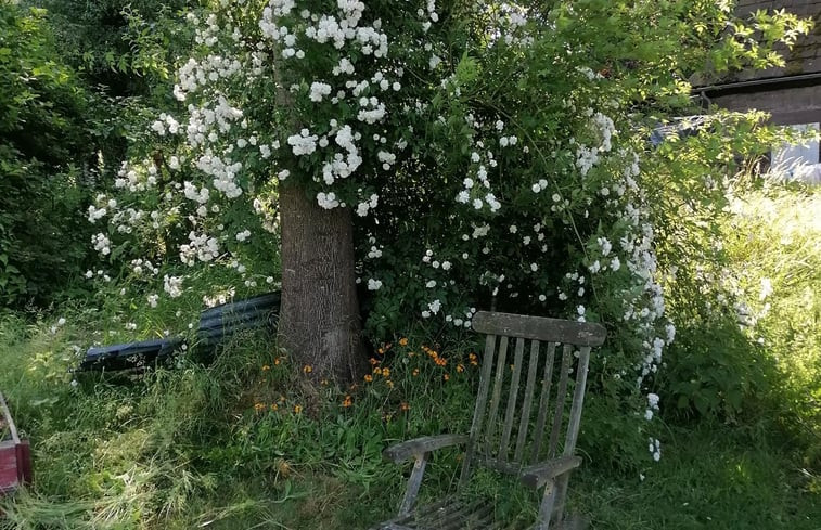 Natuurhuisje in Fürstenberg