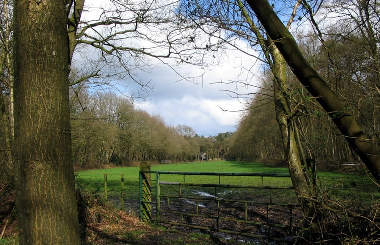 Natuurhuisje in Norg