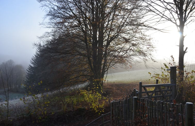 Natuurhuisje in Tailles