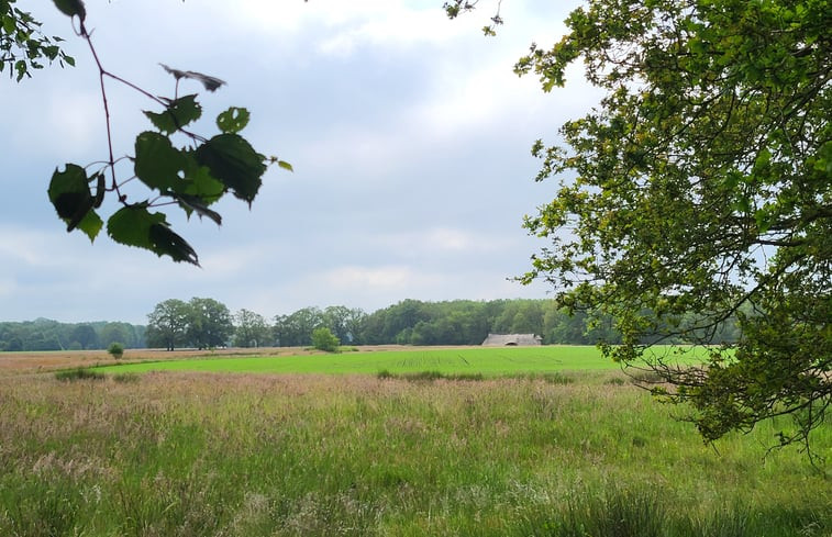 Natuurhuisje in Westerbork