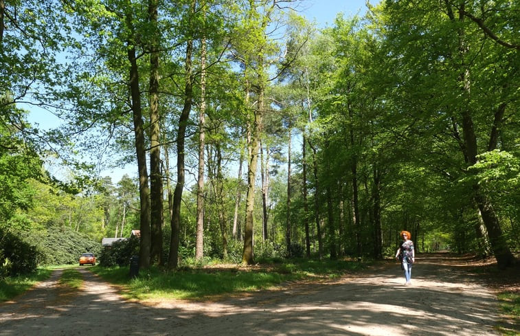 Natuurhuisje in Okkenbroek