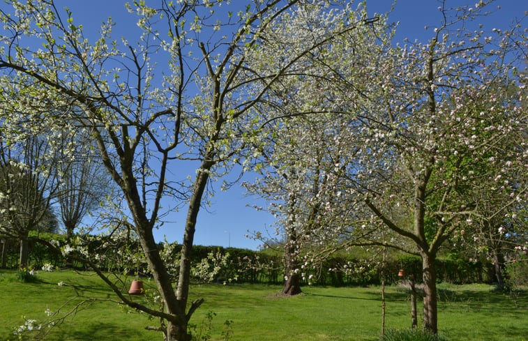 Natuurhuisje in Vijlen (Vaals)