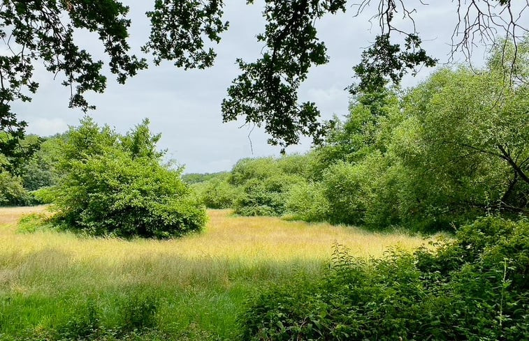 Natuurhuisje in Dalfsen