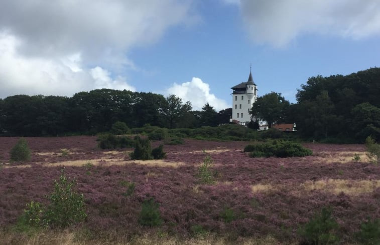 Natuurhuisje in Holten