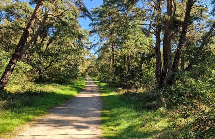 Natuurhuisje in Well