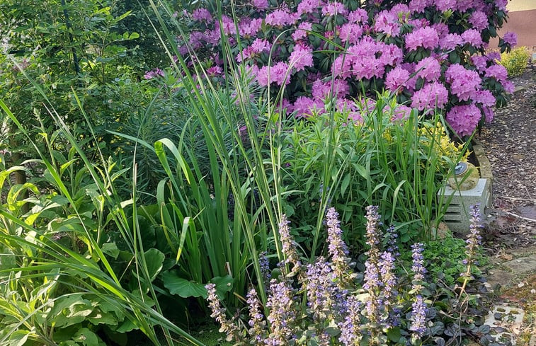 Natuurhuisje in Tweede Valthermond