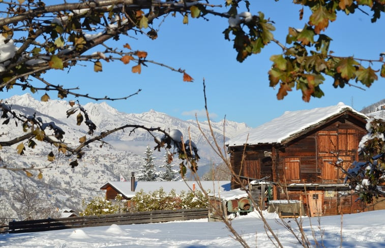 Natuurhuisje in Niedergrächen