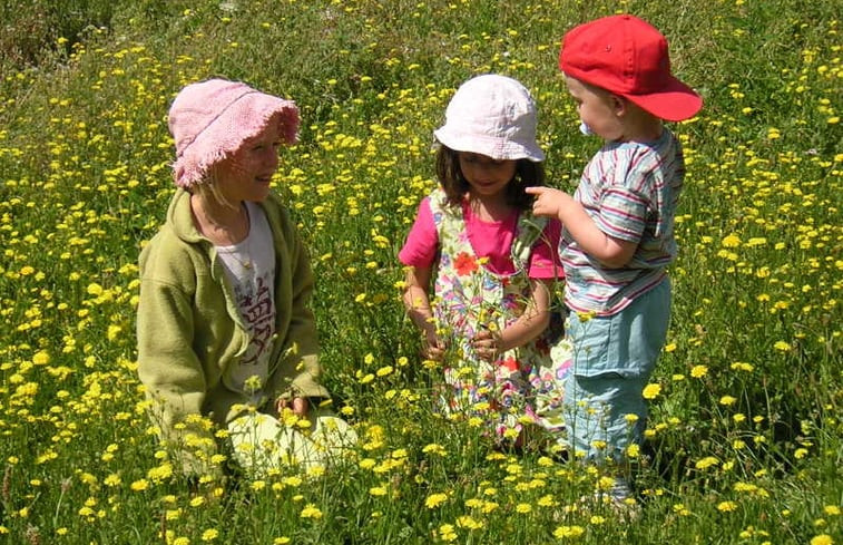 Natuurhuisje in POMPAIRE