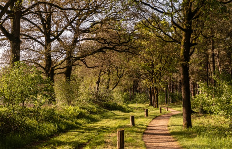 Natuurhuisje in Lierop