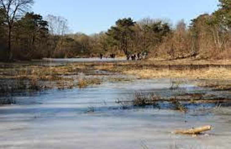 Natuurhuisje in De Wilp