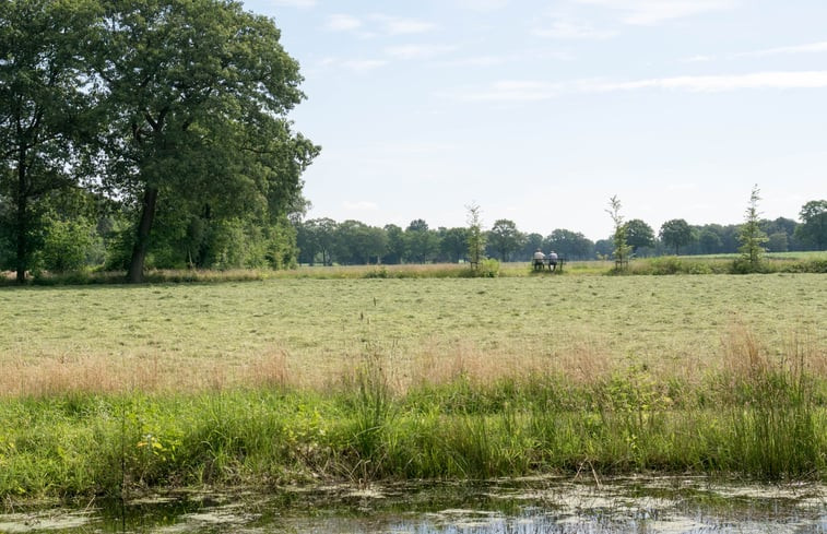 Natuurhuisje in Winterswijk Woold