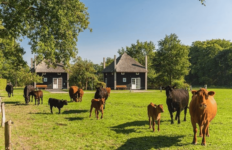 Natuurhuisje in Enter