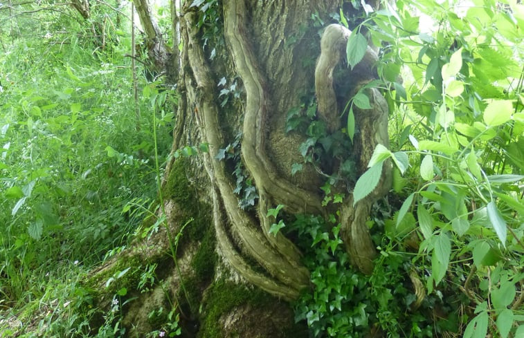 Natuurhuisje in St. Hilaire pres Pionsat