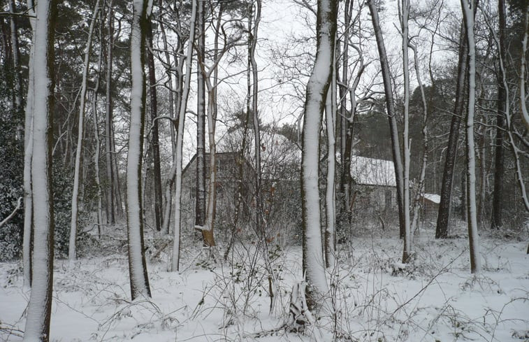 Natuurhuisje in Roden