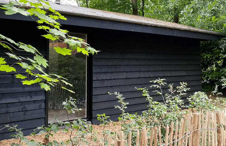 Natuurhuisje in Rheezerveen