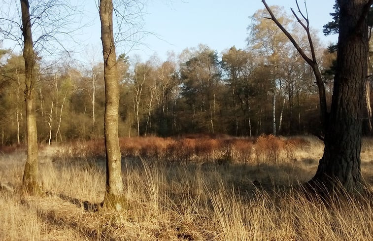 Natuurhuisje in Harfsen