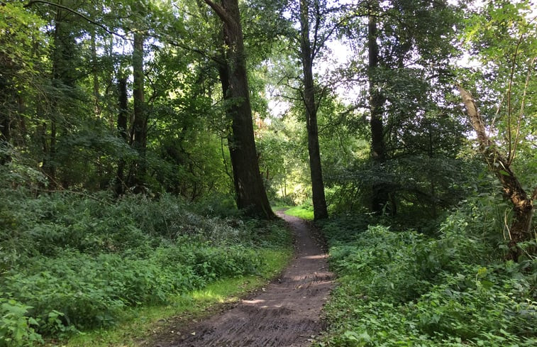 Natuurhuisje in Ubbergen